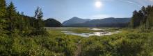 Mt. Colden over Flowed Lands