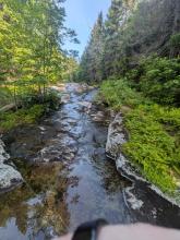 Herbert Brook Herd Path