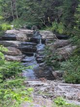 Herbert Brook Herd Path
