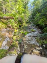 Herbert Brook Herd Path