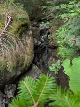 Cold Brook Pass Trail