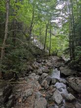 Cold Brook Pass Trail