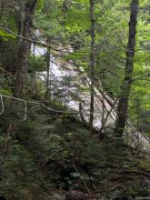 Cold Brook Pass Trail