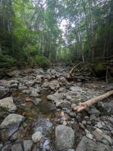 Cold Brook Pass Trail