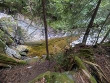 Cold Brook Pass Trail