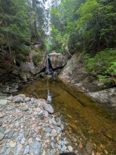 Cold Brook Pass Trail