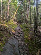 Trail to Scott Pond