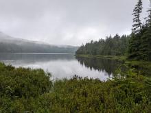 Scott Pond