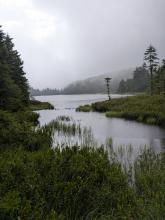 Wallface Pond