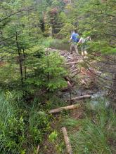 Crossing a beaver dam at Wallface Pond