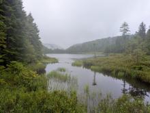 Wallface Pond