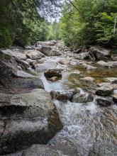 Indian Pass Brook
