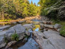 Johns Brook