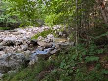 Johns Brook