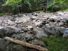 Johns Brook