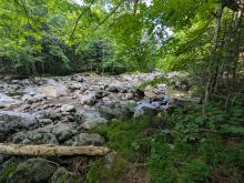 Johns Brook