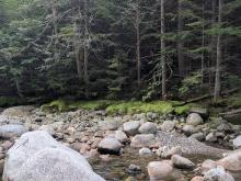 Johns Brook
