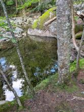 Johns Brook