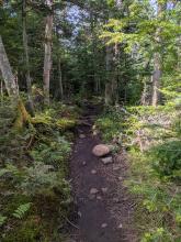 Trail up Haystack