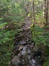 Trail up Haystack