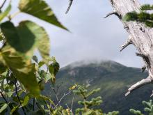 Marcy in the clouds.