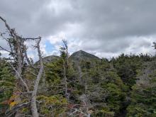 First views of Haystack