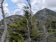 First views of Haystack