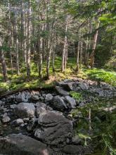 Trail to Haystack