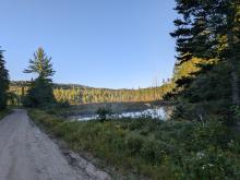 marsh along Coreys road