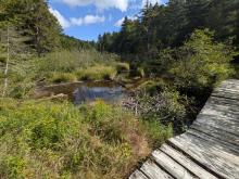 Broken bridge along the crossover trail