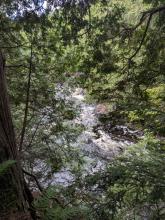 Lower Raquette Falls