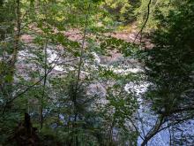 Upper Raquette Falls