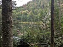 Hunters pond