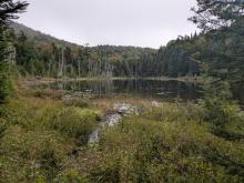 Hunters pond