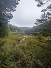 Hunters pond