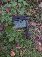 Artifact at start of the bushwhack