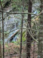 Stream on way up MacNaughton