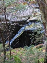 Stream on way up MacNaughton