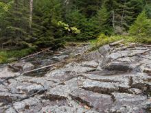 Stream on way up MacNaughton