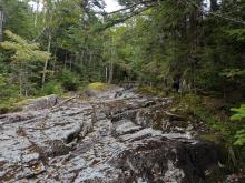 Stream on way up MacNaughton