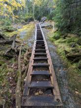 first ladder up Colden