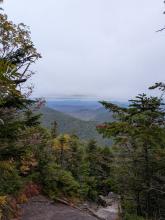 View from Colden