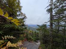 View from Colden
