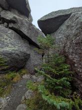 Eratics/ledges at the top of Colden