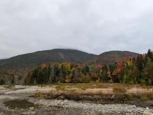 View from Marcy Dam