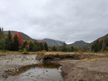 Marcy Dam looking at Wright