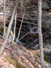 Stream crossing on Blueberry
