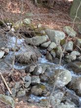 Stream crossing on Blueberry