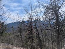 View on way up Blueberry