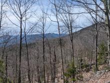 View on way up Blueberry